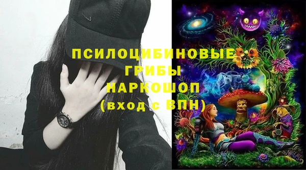 индика Абдулино