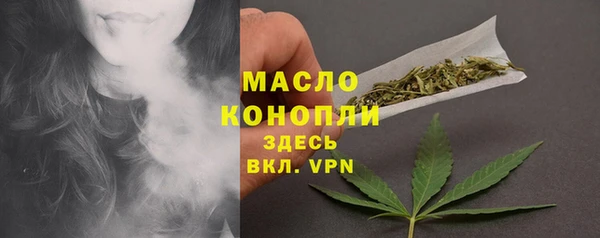 индика Абдулино
