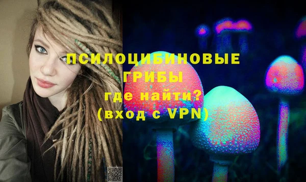 ALPHA PVP Надым