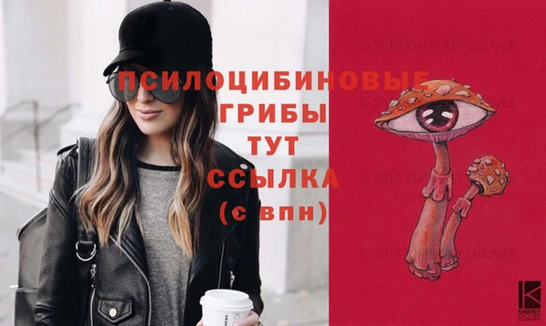 молекула духа Абаза