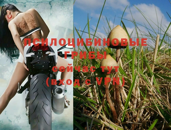 МДПВ Навашино